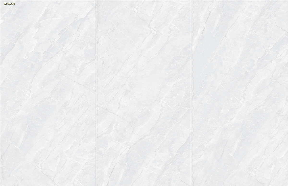 69202B.png